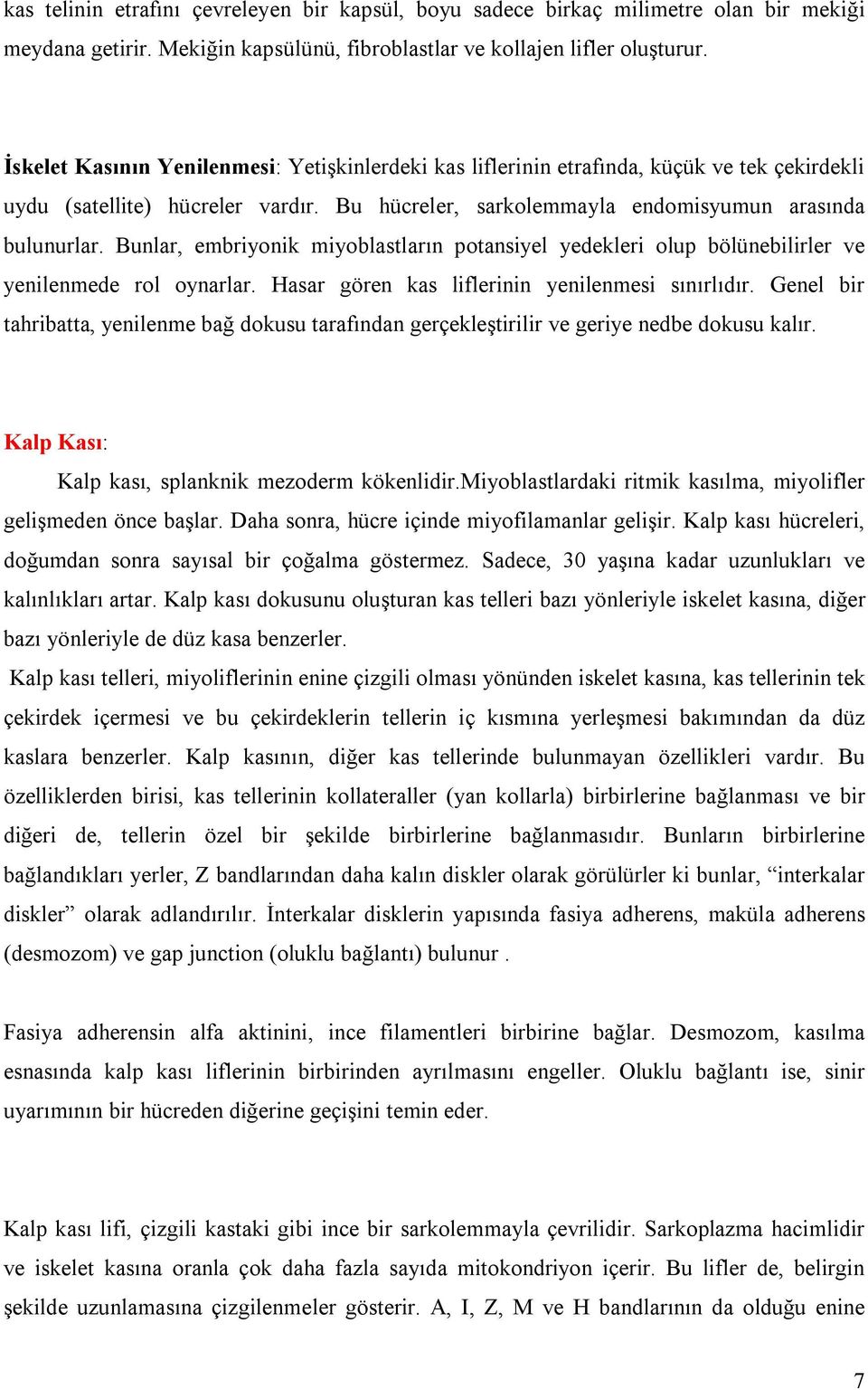 Bunlar, embriyonik miyoblastların potansiyel yedekleri olup bölünebilirler ve yenilenmede rol oynarlar. Hasar gören kas liflerinin yenilenmesi sınırlıdır.