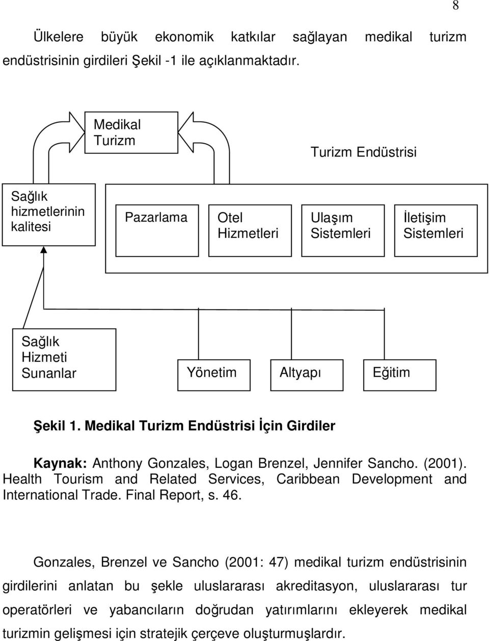 Medikal Turizm Endüstrisi İçin Girdiler Kaynak: Anthony Gonzales, Logan Brenzel, Jennifer Sancho. (2001). Health Tourism and Related Services, Caribbean Development and International Trade.