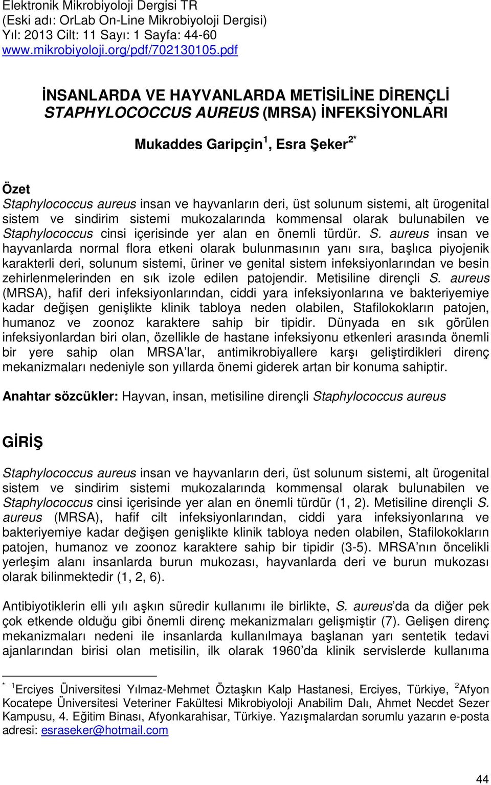 sistemi, alt ürogenital sistem ve sindirim sistemi mukozalarında kommensal olarak bulunabilen ve St