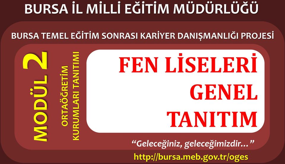 DANIŞMANLIĞI PROJESİ FEN LİSELERİ GENEL TANITIM