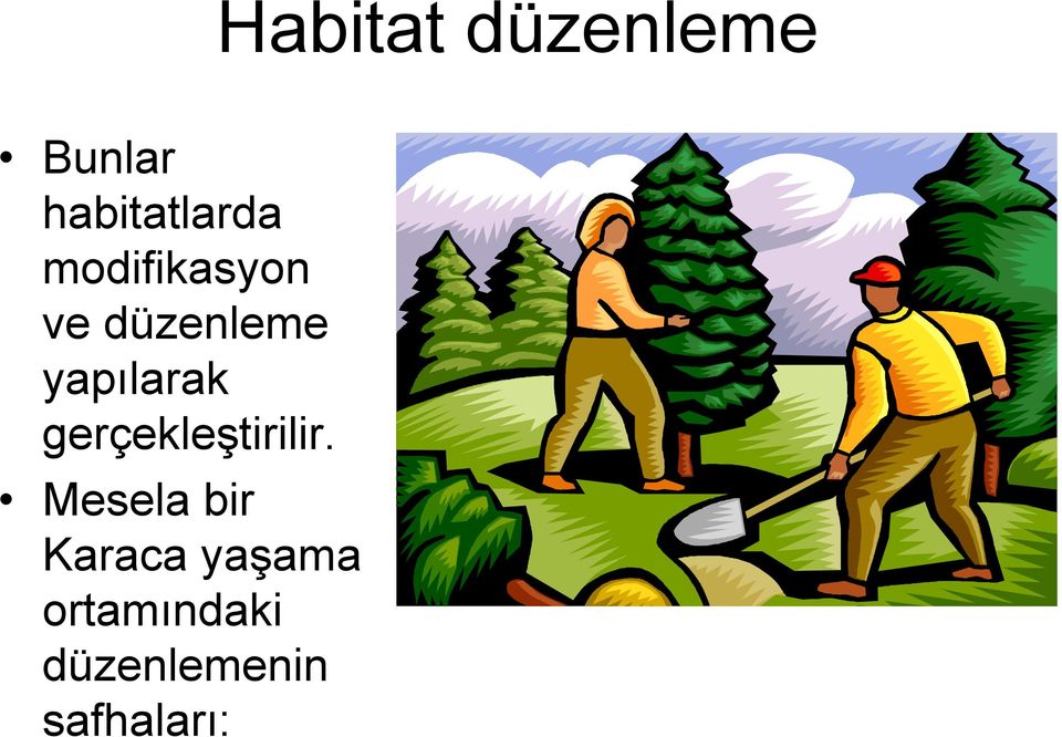 gerçekleştirilir.