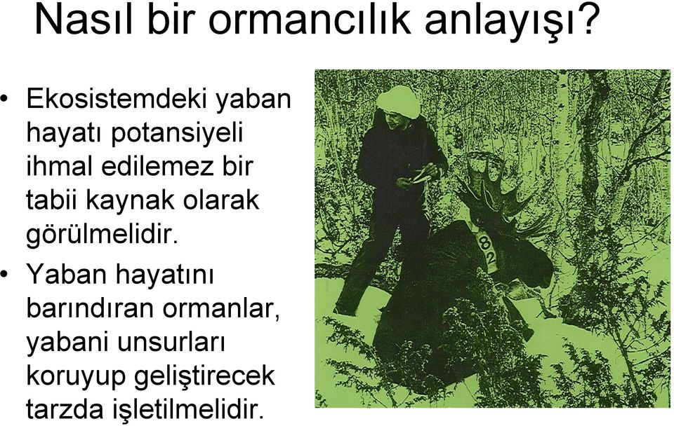 bir tabii kaynak olarak görülmelidir.