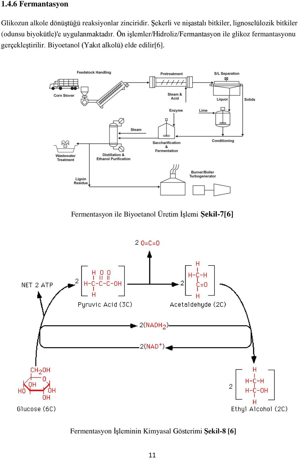 Ön işlemler/hidroliz/fermantasyon ile glikoz fermantasyonu gerçekleştirilir.