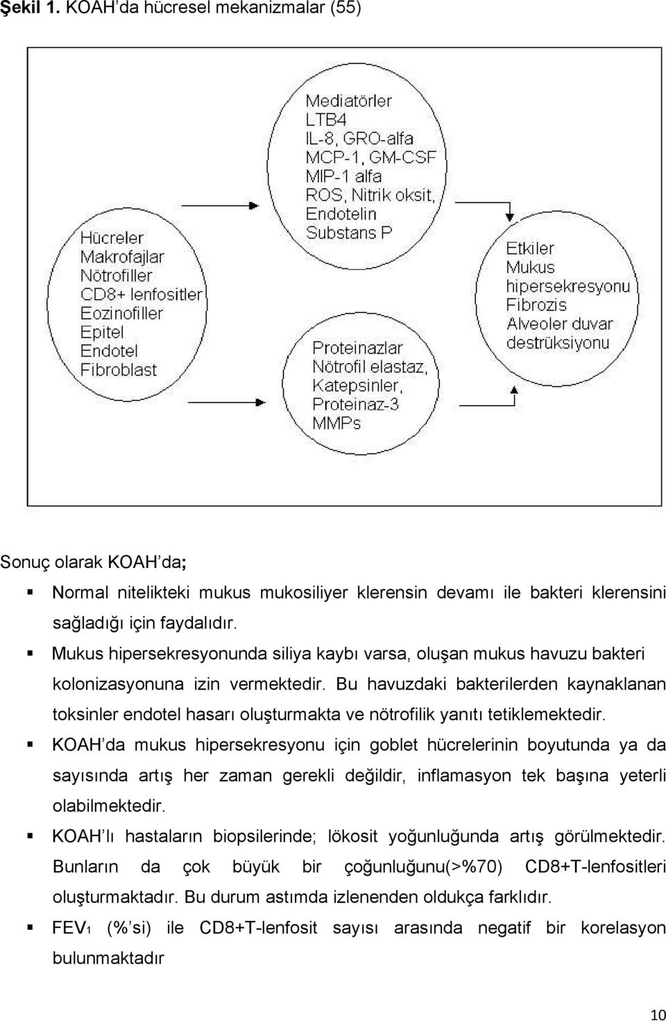 Bu havuzdaki bakterilerden kaynaklanan toksinler endotel hasarı oluşturmakta ve nötrofilik yanıtı tetiklemektedir.