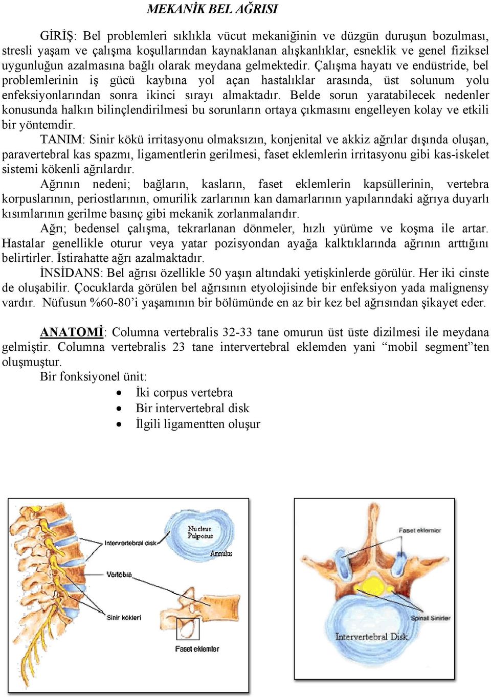 Çalışma hayatı ve endüstride, bel problemlerinin iş gücü kaybına yol açan hastalıklar arasında, üst solunum yolu enfeksiyonlarından sonra ikinci sırayı almaktadır.