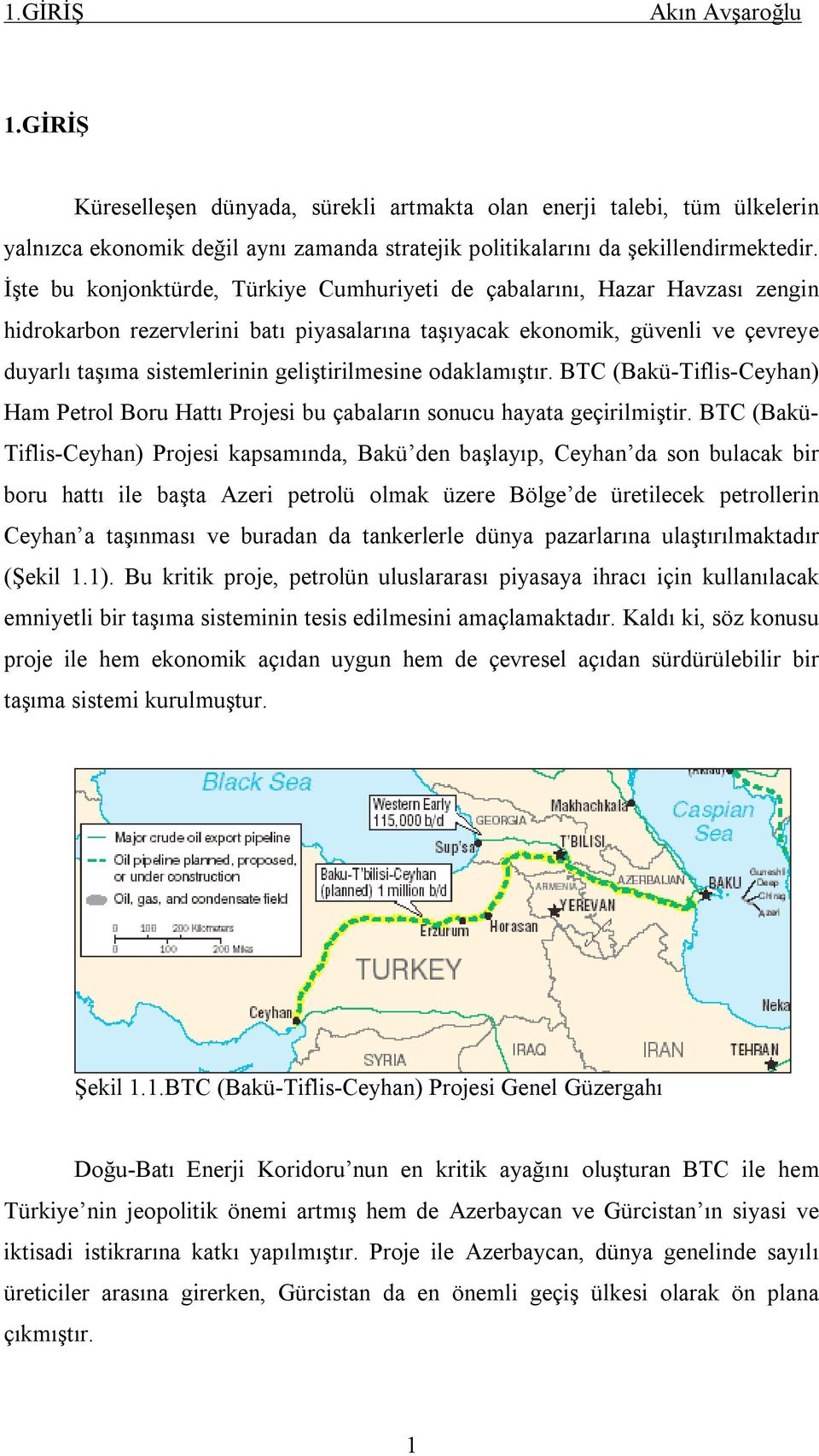 geliştirilmesine odaklamıştır. BTC (Bakü-Tiflis-Ceyhan) Ham Petrol Boru Hattı Projesi bu çabaların sonucu hayata geçirilmiştir.