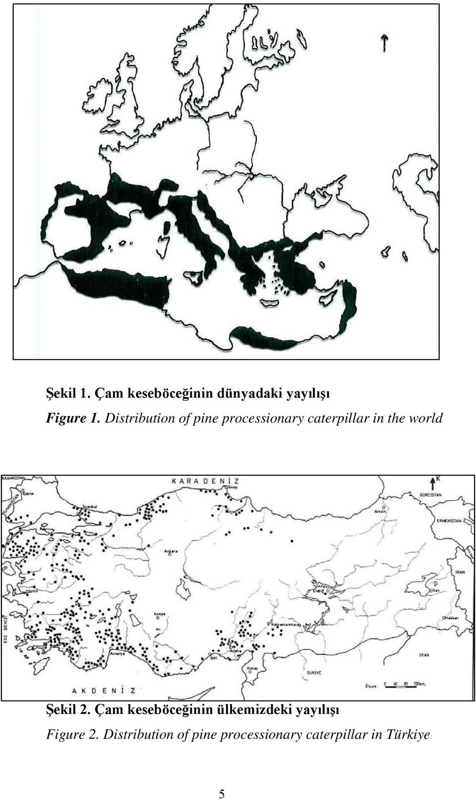 world Şekil 2.