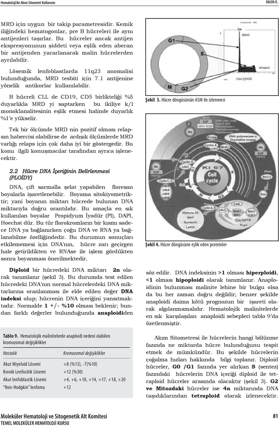 Lösemik lenfoblastlarda 11q23 anomalisi bulunduğunda, MRD tesbiti için 7.1 antijenine yönelik antikorlar kullanılabilir.