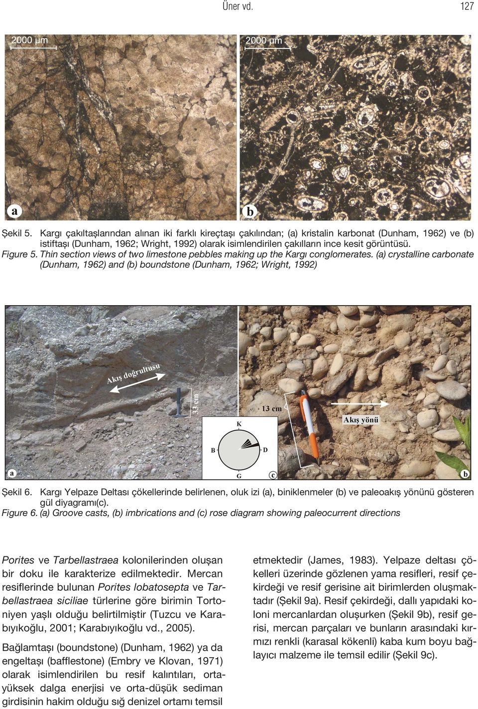 görüntüsü. Figure 5. Thin section views of two limestone pebbles making up the Kargı conglomerates. (a) crystalline carbonate (Dunham, 1962) and (b) boundstone (Dunham, 1962; Wright, 1992) Şekil 6.