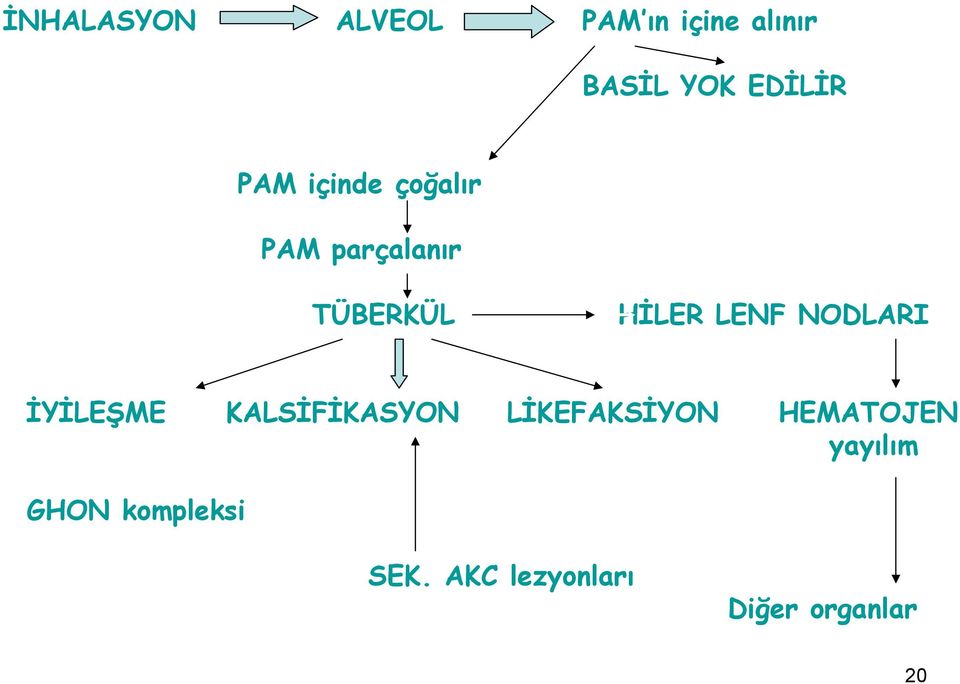 NODLARI İYİLEŞME KALSİFİKASYON LİKEFAKSİYON HEMATOJEN