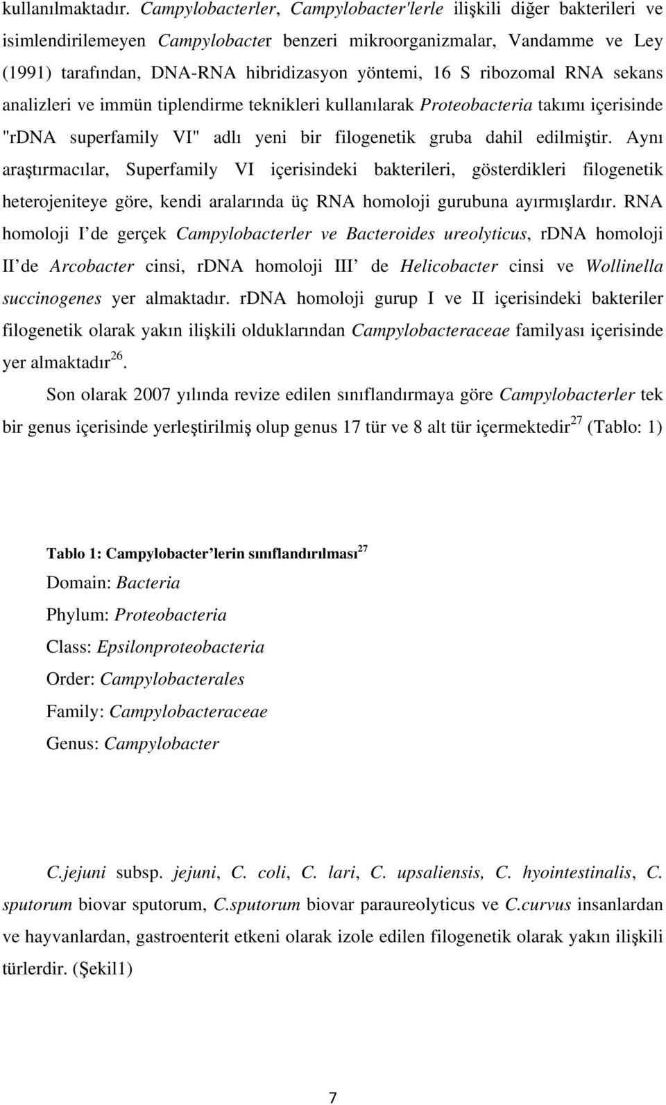 ribozomal RNA sekans analizleri ve immün tiplendirme teknikleri kullanılarak Proteobacteria takımı içerisinde "rdna superfamily VI" adlı yeni bir filogenetik gruba dahil edilmiştir.