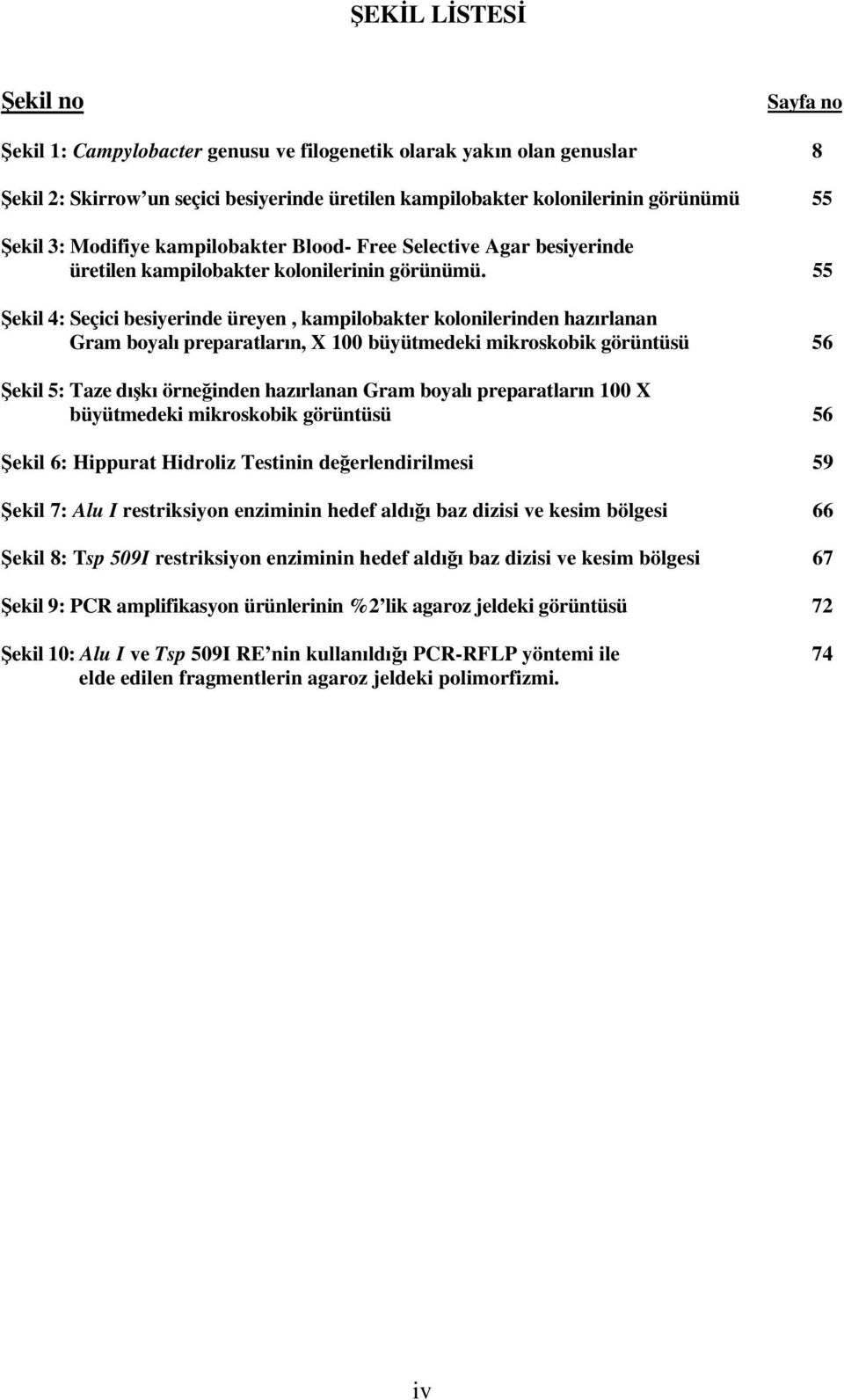 55 Şekil 4: Seçici besiyerinde üreyen, kampilobakter kolonilerinden hazırlanan Gram boyalı preparatların, X 100 büyütmedeki mikroskobik görüntüsü 56 Şekil 5: Taze dışkı örneğinden hazırlanan Gram