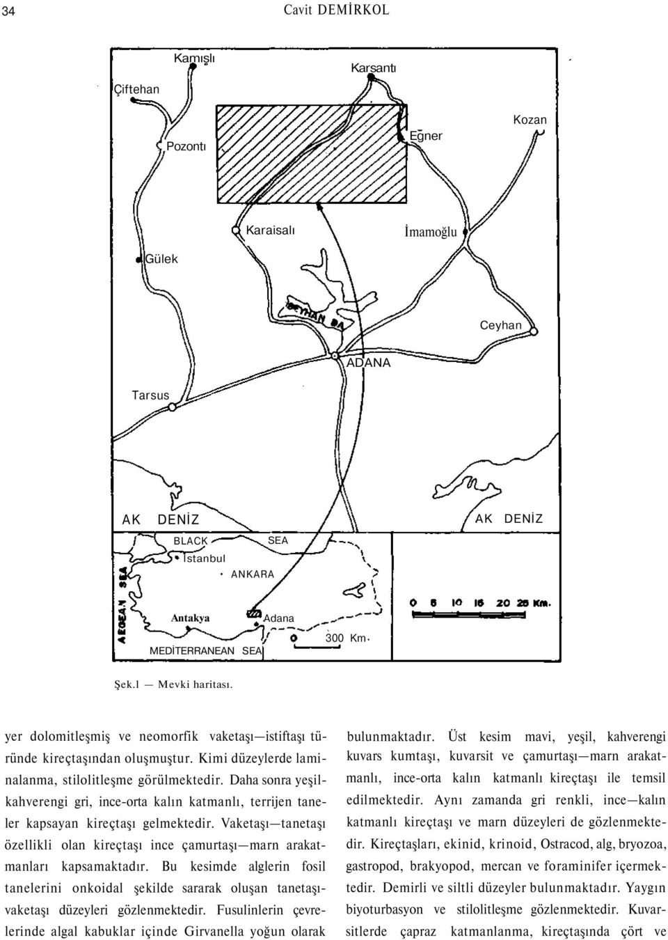 Daha sonra yeşilkahverengi gri, ince-orta kalın katmanlı, terrijen taneler kapsayan kireçtaşı gelmektedir. Vaketaşı tanetaşı özellikli olan kireçtaşı ince çamurtaşı marn arakatmanları kapsamaktadır.