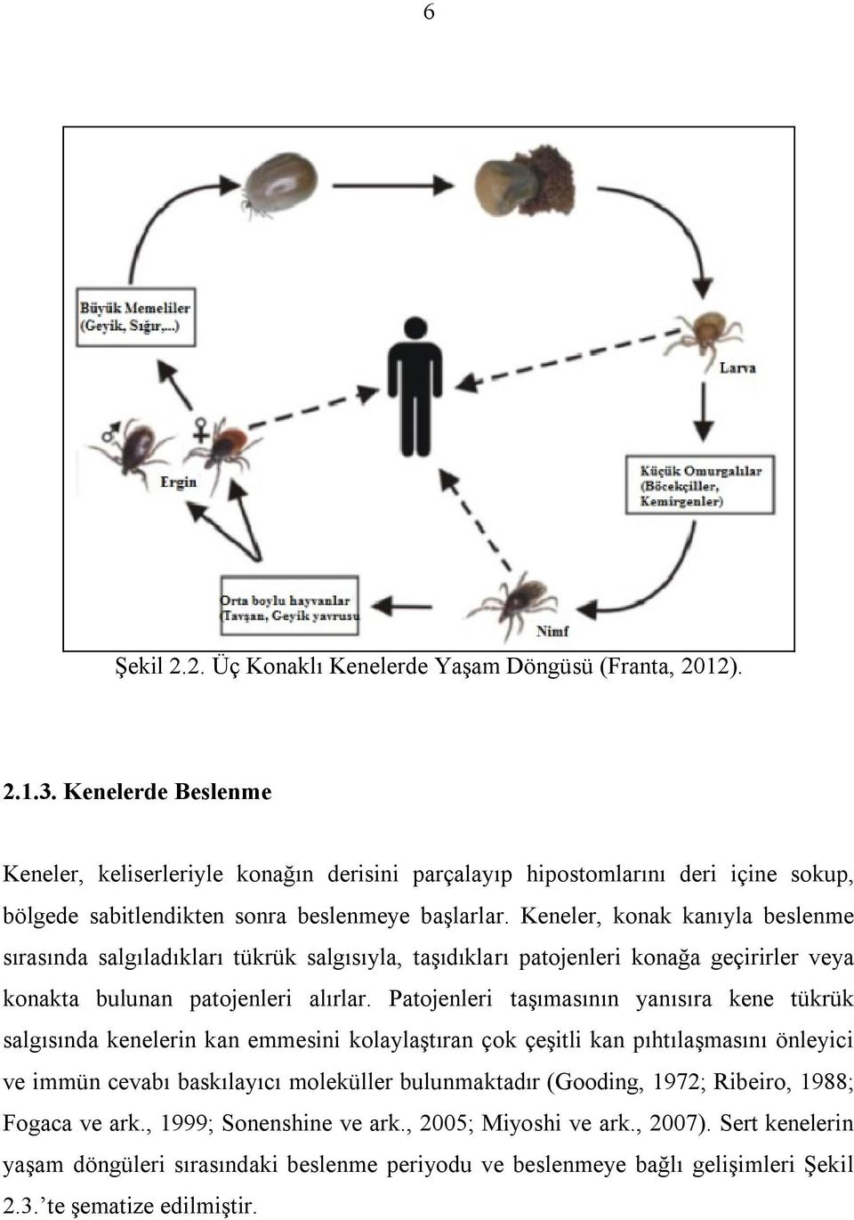 Keneler, konak kanıyla beslenme sırasında salgıladıkları tükrük salgısıyla, taģıdıkları patojenleri konağa geçirirler veya konakta bulunan patojenleri alırlar.