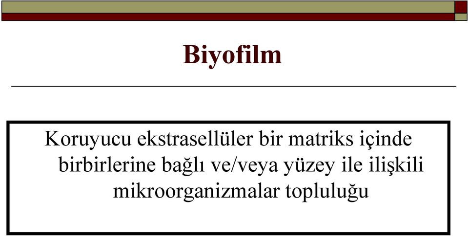 içinde birbirlerine bağlı