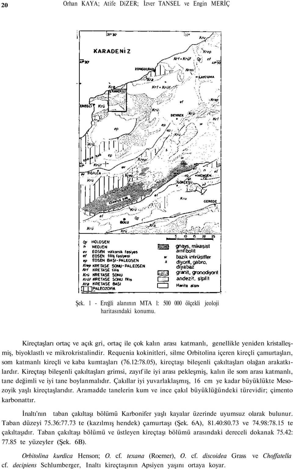 Requenia kokinitleri, silme Orbitolina içeren kireçli çamurtaşları, som katmanlı kireçli ve kaba kumtaşları (76.12:78.05), kireçtaşı bileşenli çakıltaşları olağan arakatkılardır.