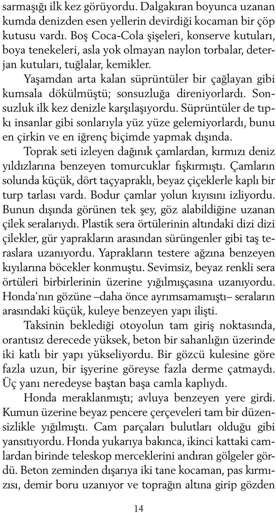 Yaşamdan arta kalan süprüntüler bir çağlayan gibi kumsala dökülmüştü; sonsuzluğa direniyorlardı. Sonsuzluk ilk kez denizle karşılaşıyordu.