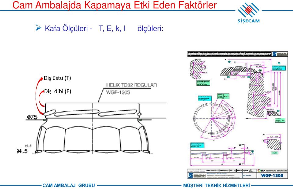 Ölçüleri - T, E, k, l