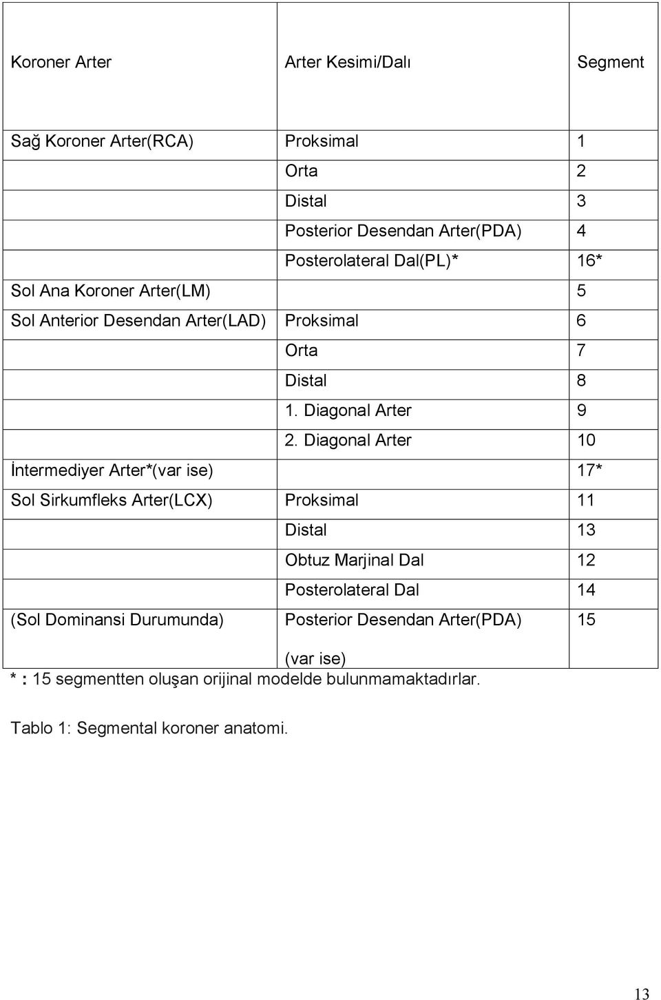 Diagonal Arter 10 İntermediyer Arter*(var ise) 17* Sol Sirkumfleks Arter(LCX) Proksimal 11 Distal 13 Obtuz Marjinal Dal 12 Posterolateral Dal 14