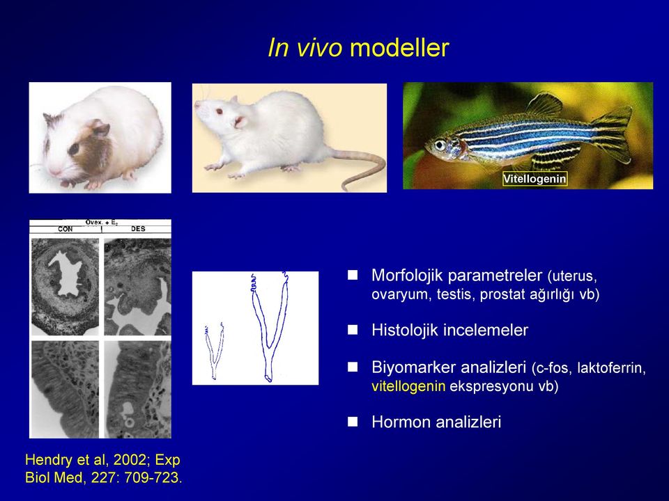 Biyomarker analizleri (c-fos, laktoferrin, vitellogenin