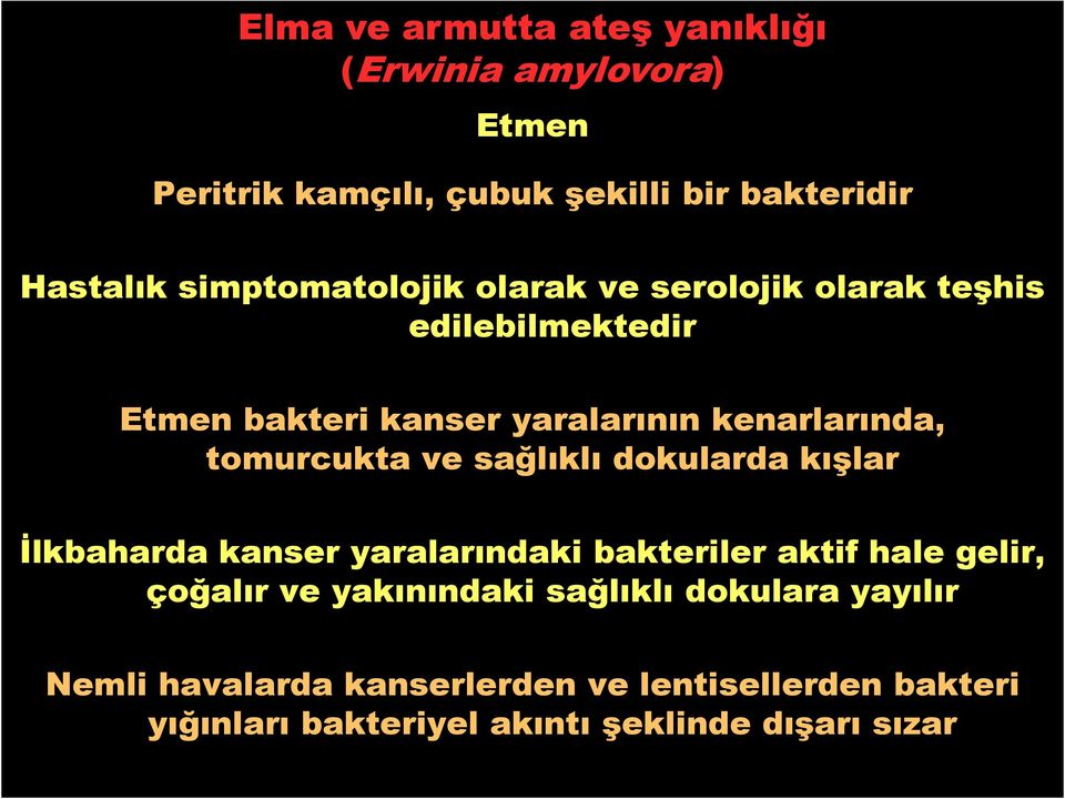 kışlar Đlkbaharda kanser yaralarındaki bakteriler aktif hale gelir, çoğalır ve yakınındaki sağlıklı