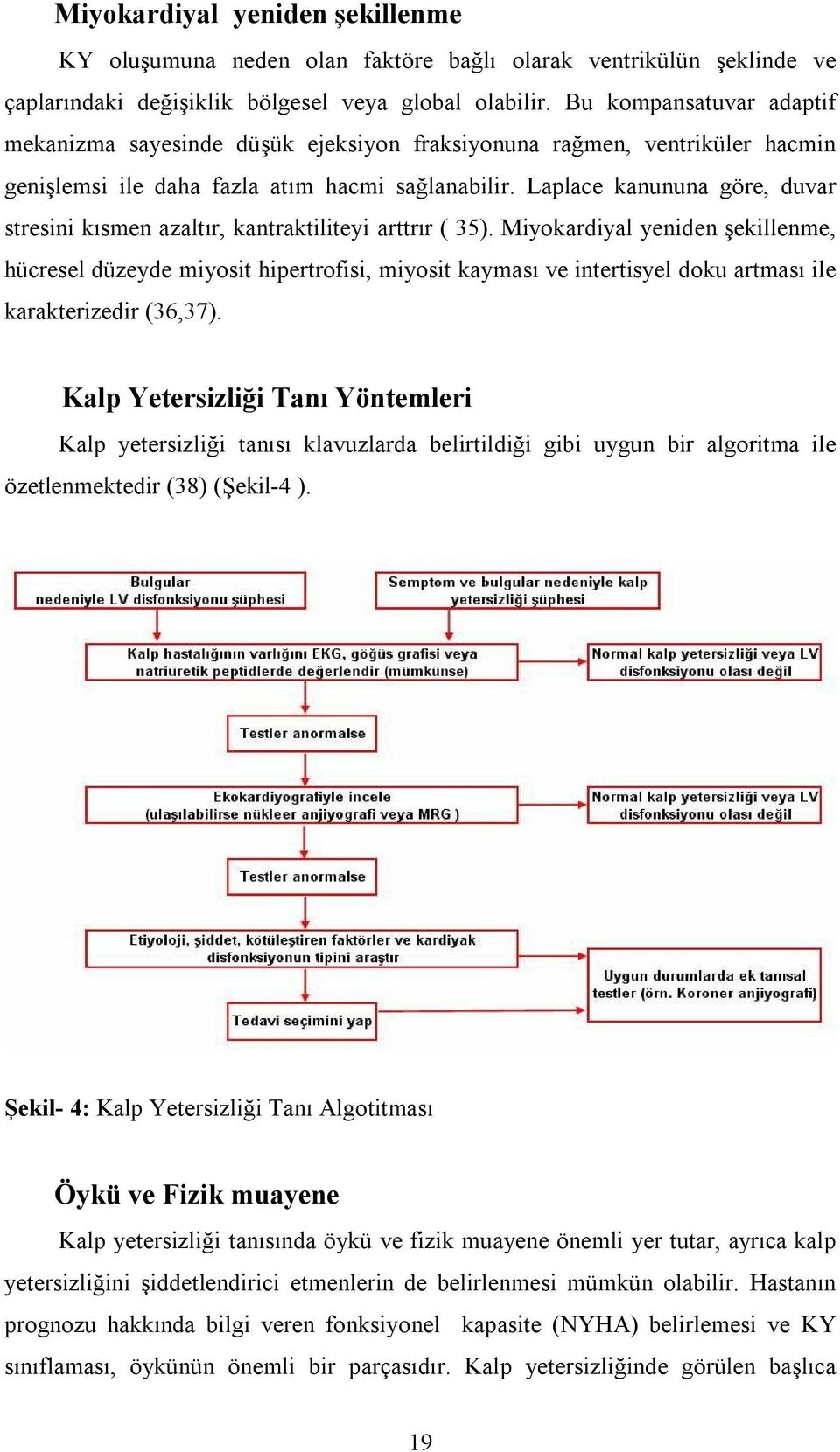 Laplace kanununa göre, duvar stresini kısmen azaltır, kantraktiliteyi arttrır ( 35).