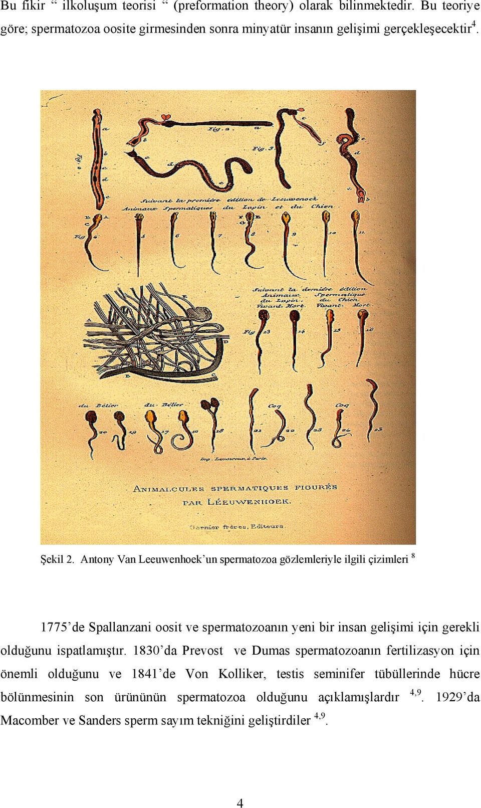 Antony Van Leeuwenhoek un spermatozoa gözlemleriyle ilgili çizimleri 8 1775 de Spallanzani oosit ve spermatozoanın yeni bir insan gelişimi için gerekli