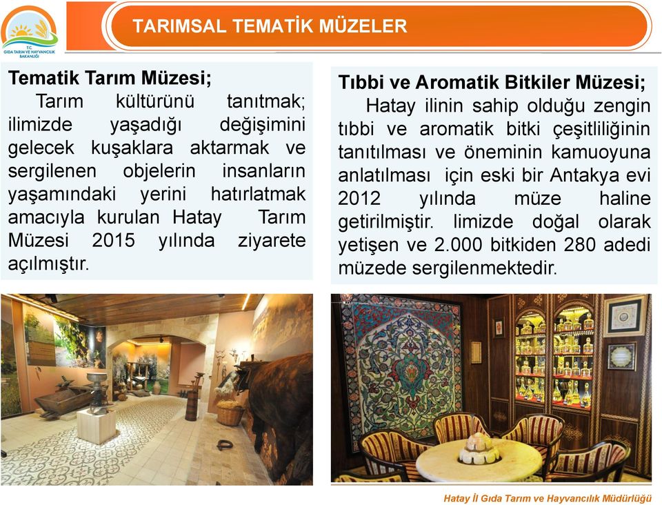 Tıbbi ve Aromatik Bitkiler Müzesi; Hatay ilinin sahip olduğu zengin tıbbi ve aromatik bitki çeşitliliğinin tanıtılması ve öneminin kamuoyuna