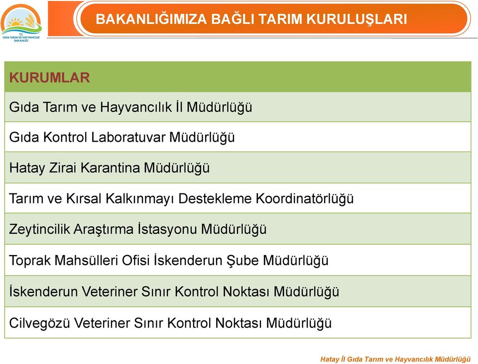 Koordinatörlüğü Zeytincilik Araştırma İstasyonu Müdürlüğü Toprak Mahsülleri Ofisi İskenderun Şube