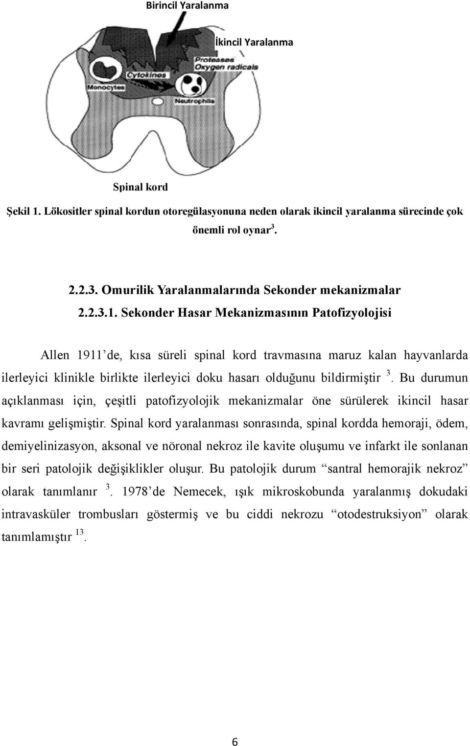 Sekonder Hasar Mekanizmasının Patofizyolojisi Allen 1911 de, kısa süreli spinal kord travmasına maruz kalan hayvanlarda ilerleyici klinikle birlikte ilerleyici doku hasarı olduğunu bildirmiştir 3.