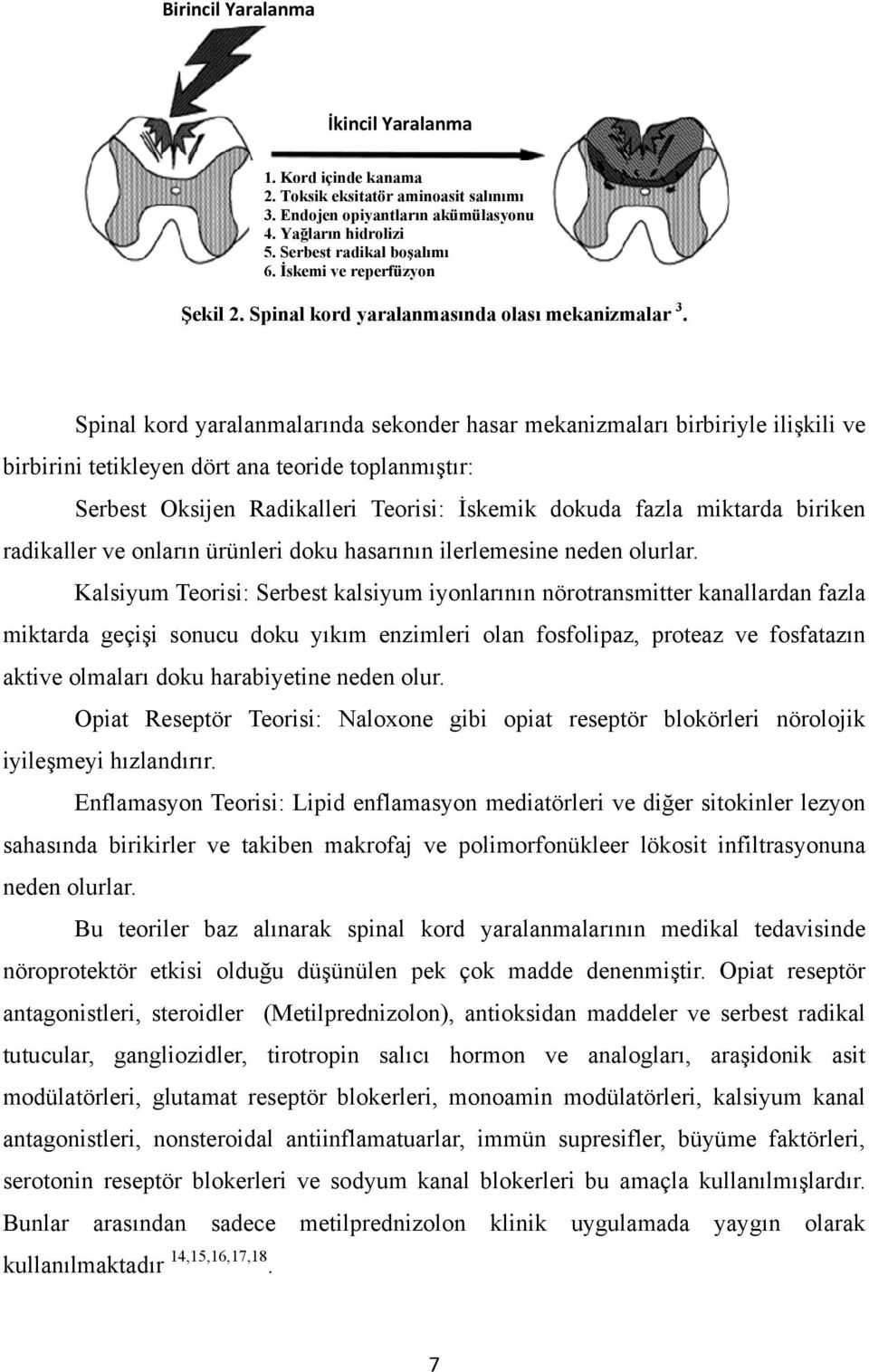 Spinal kord yaralanmalarında sekonder hasar mekanizmaları birbiriyle ilişkili ve birbirini tetikleyen dört ana teoride toplanmıştır: Serbest Oksijen Radikalleri Teorisi: İskemik dokuda fazla miktarda