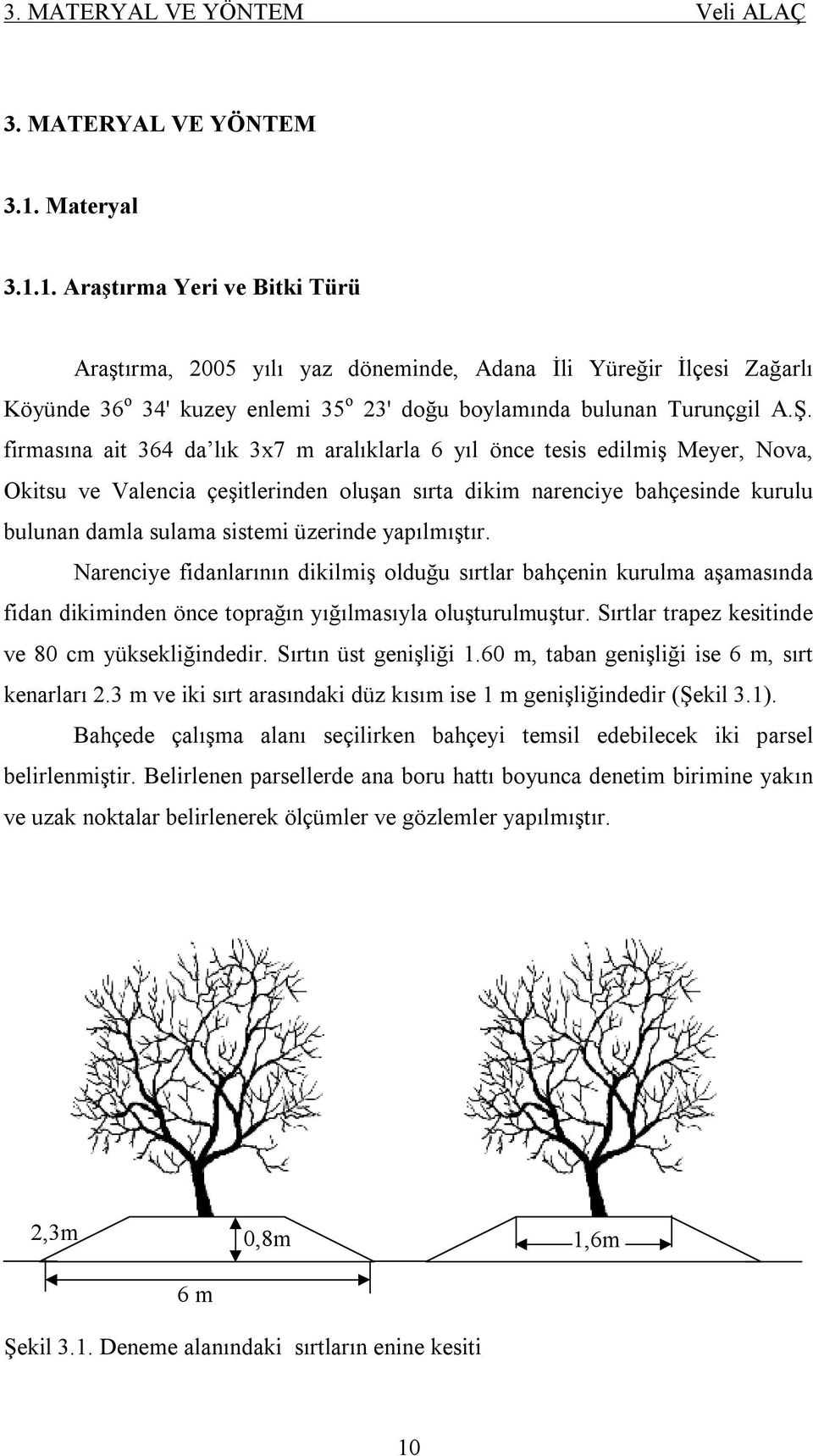 firmasına ait 364 da lık 3x7 m aralıklarla 6 yıl önce tesis edilmiş Meyer, Nova, Okitsu ve Valencia çeşitlerinden oluşan sırta dikim narenciye bahçesinde kurulu bulunan damla sulama sistemi üzerinde