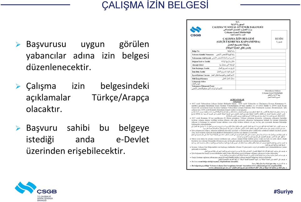 Çalışma izin belgesindeki açıklamalar Türkçe/Arapça