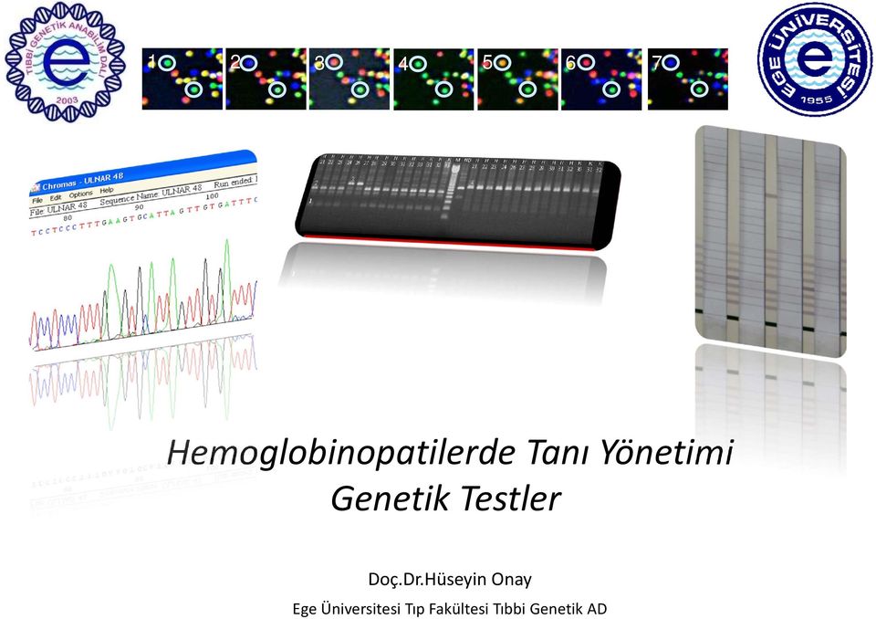 Yönetimi Genetik Testler Doç.Dr.