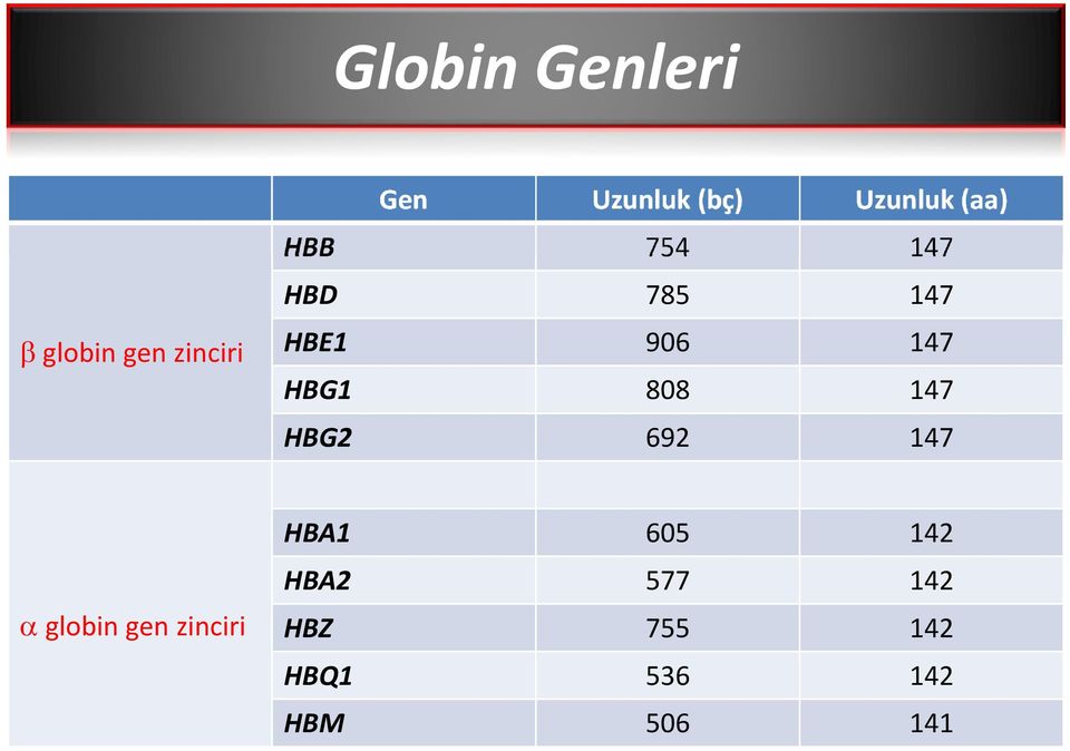 HBG1 808 147 HBG2 692 147 globin gen ziniri HBA1