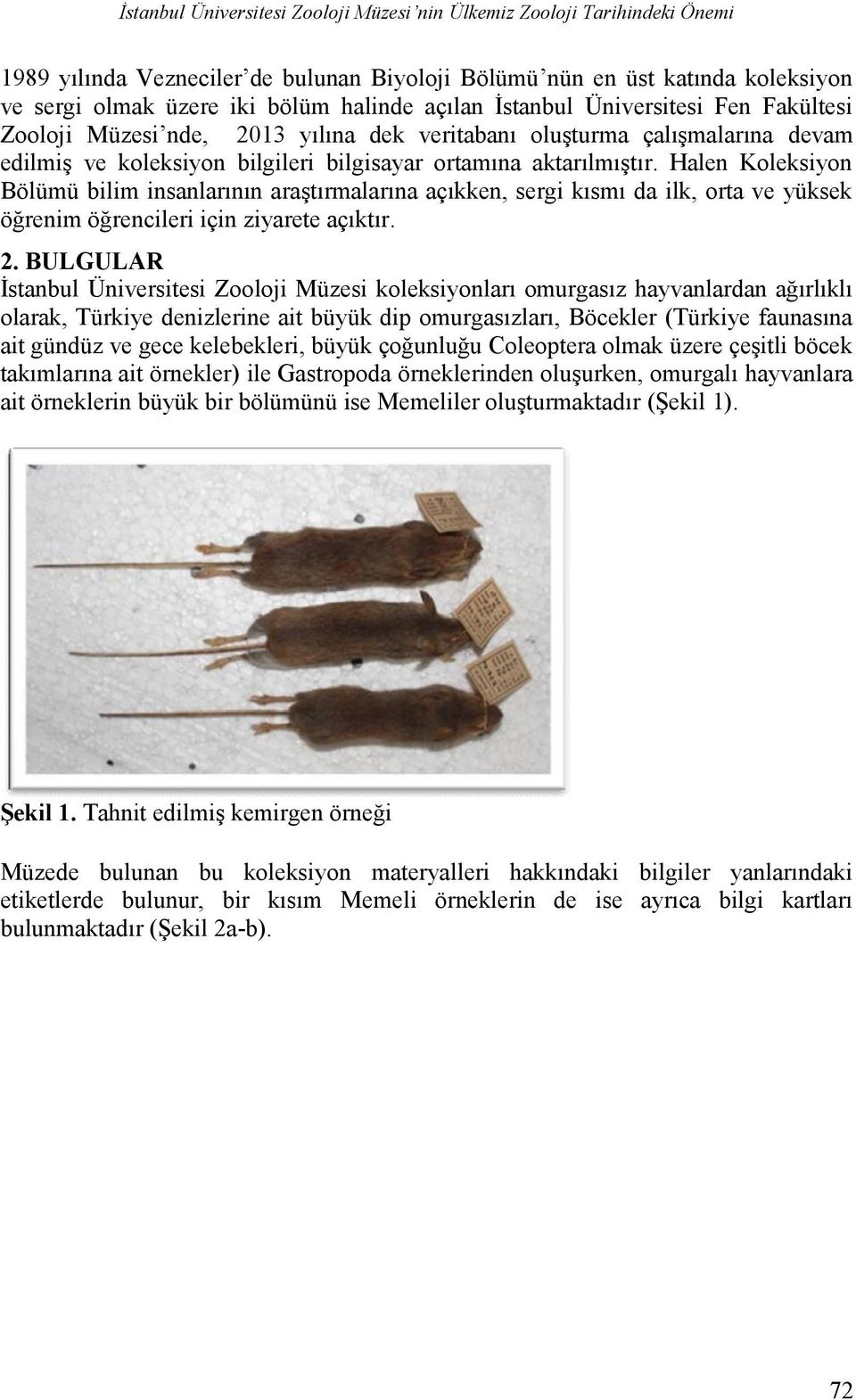 Halen Koleksiyon Bölümü bilim insanlarının araştırmalarına açıkken, sergi kısmı da ilk, orta ve yüksek öğrenim öğrencileri için ziyarete açıktır. 2.