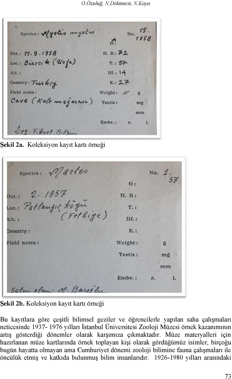 İstanbul Üniversitesi Zooloji Müzesi örnek kazanımının artış gösterdiği dönemler olarak karşımıza çıkmaktadır.