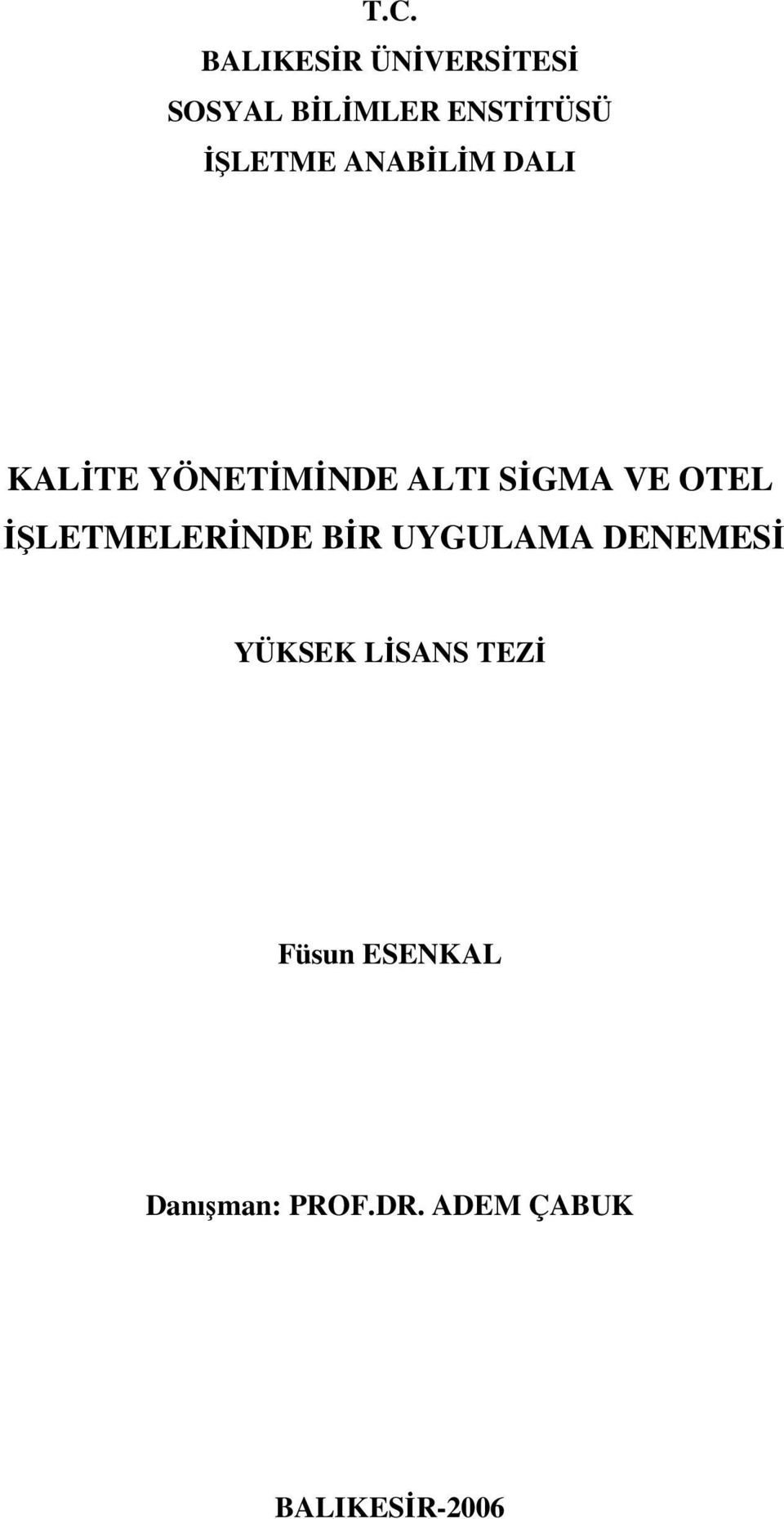 OTEL İŞLETMELERİNDE BİR UYGULAMA DENEMESİ YÜKSEK LİSANS