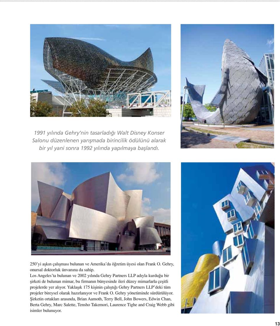 Los Angeles ta bulunan ve 2002 yılında Gehry Partners LLP adıyla kurdu u bir flirketi de bulunan mimar, bu firmanın bünyesinde ileri düzey mimarlarla çeflitli projelerde yer alıyor.