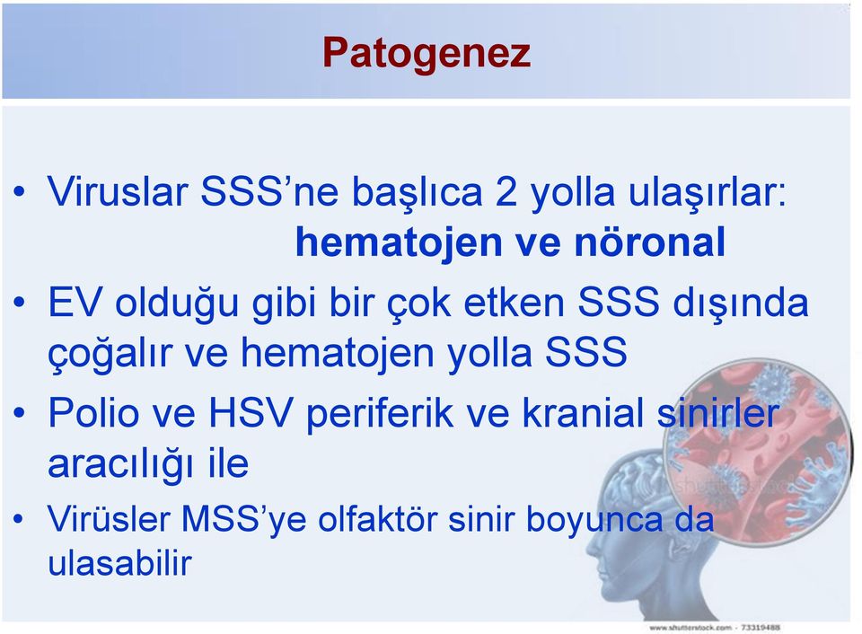 hematojen yolla SSS Polio ve HSV periferik ve kranial sinirler