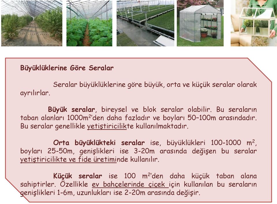 Orta büyüklükteki seralar ise, büyüklükleri 100-1000 m 2, boyları 25-50m, genişlikleri ise 3-20m arasında değişen bu seralar yetiştiricilikte ve fide üretiminde