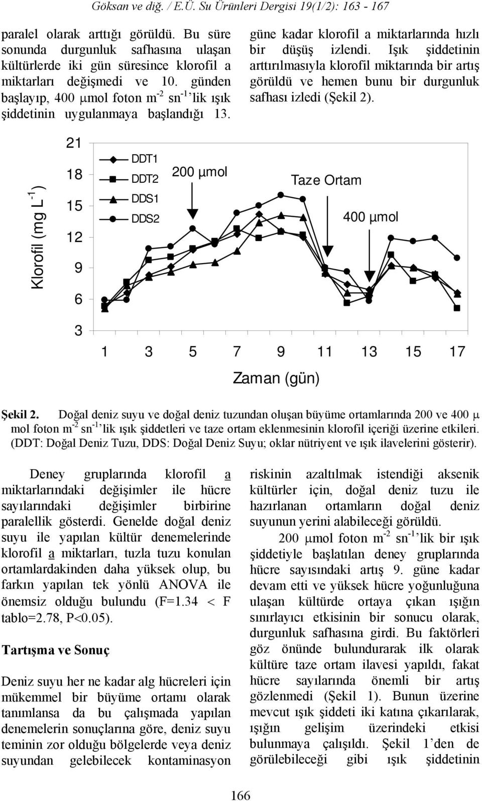 Işık şiddetinin arttırılmasıyla klorofil miktarında bir artış görüldü ve hemen bunu bir durgunluk safhası izledi (Şekil 2).