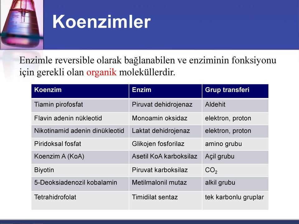 Nikotinamid adenin dinükleotid Laktat dehidrojenaz elektron, proton Piridoksal fosfat Glikojen fosforilaz amino grubu Koenzim A (KoA) Asetil