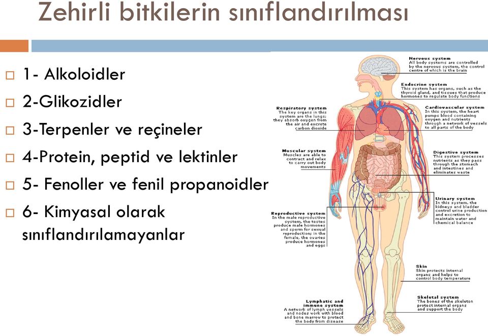 reçineler 4-Protein, peptid ve lektinler 5-