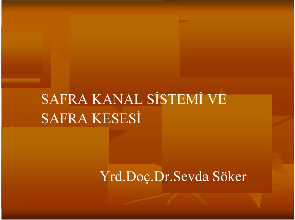 SAFRA KESESİ