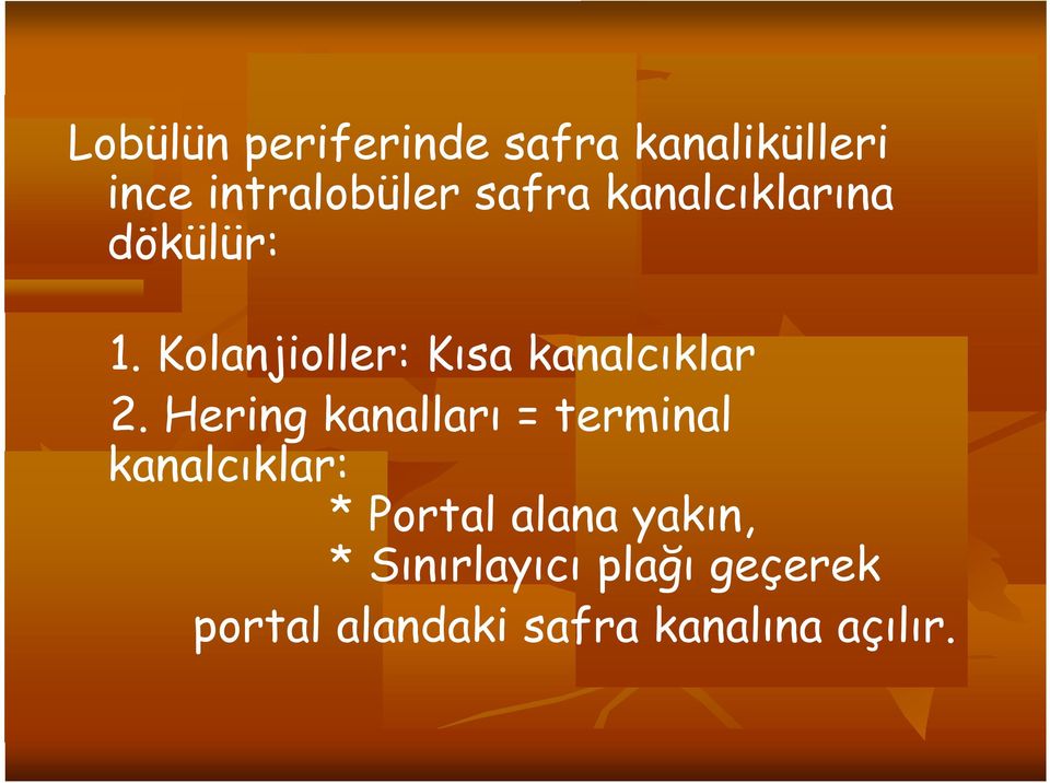 Hering kanalları = terminal kanalcıklar: * Portal alana yakın,