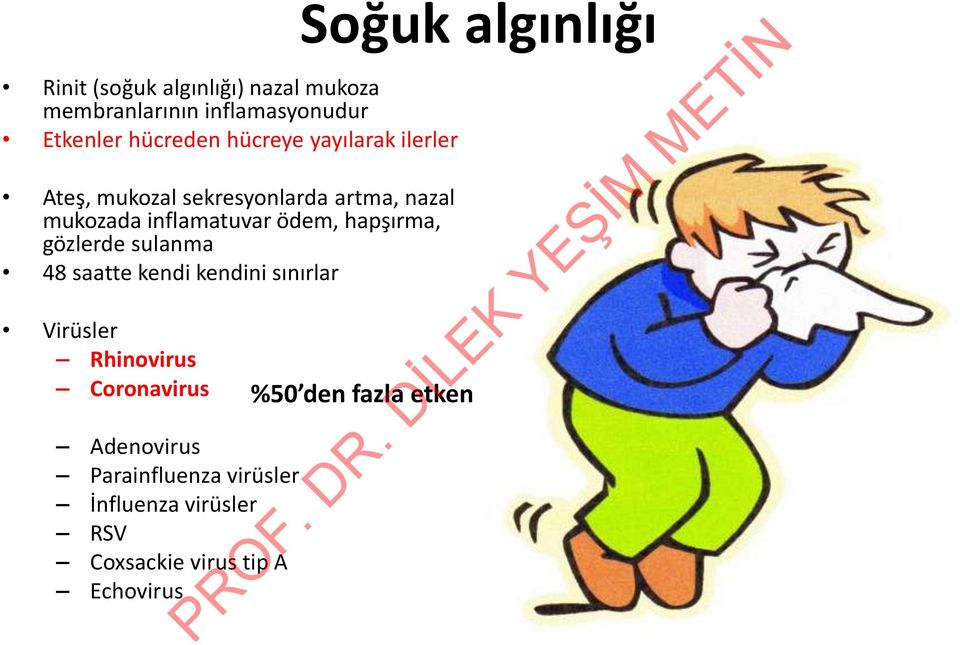 gözlerde sulanma 48 saatte kendi kendini sınırlar Virüsler Rhinovirus Coronavirus Adenovirus