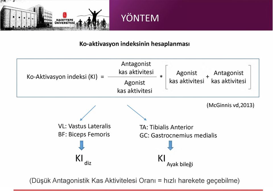 VL: Vastus Lateralis BF: Biceps Femoris TA: Tibialis Anterior GC: Gastrocnemius medialis l l