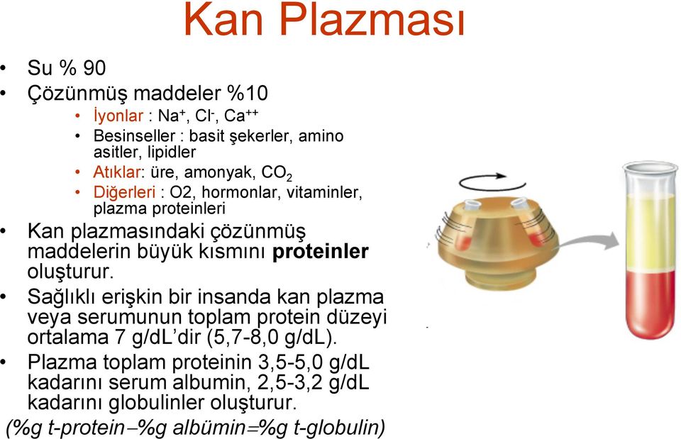 proteinler oluşturur. Sağlıklı erişkin bir insanda kan plazma veya serumunun toplam protein düzeyi ortalama 7 g/dl dir (5,7-8,0 g/dl).