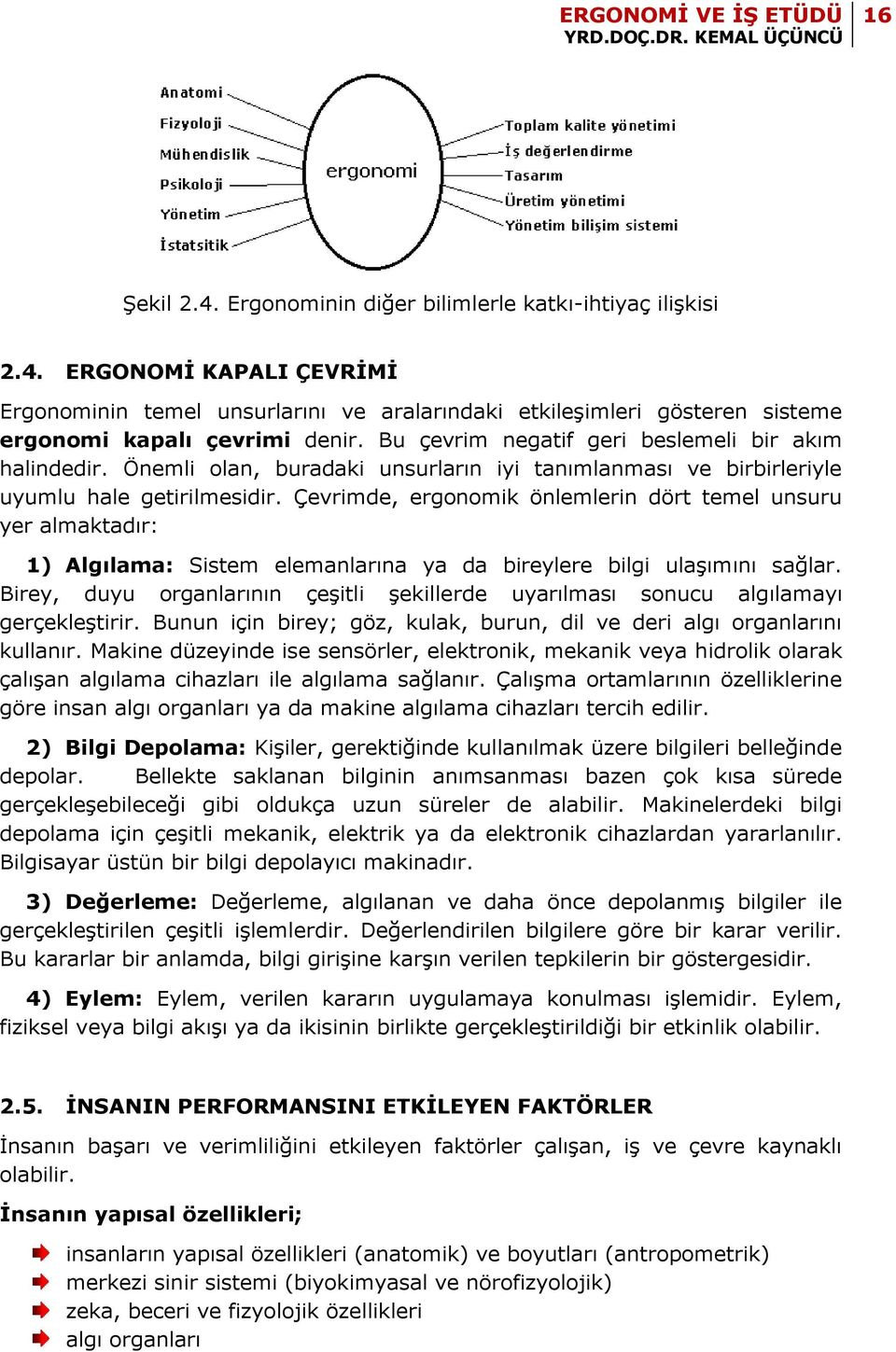 Çevrimde, ergonomik önlemlerin dört temel unsuru yer almaktadır: 1) Algılama: Sistem elemanlarına ya da bireylere bilgi ulaşımını sağlar.